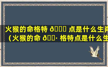 火猴的命格特 🐈 点是什么生肖（火猴的命 🕷 格特点是什么生肖和属相）